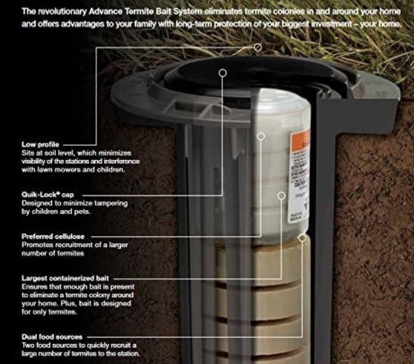 DIY termite monitoring stations