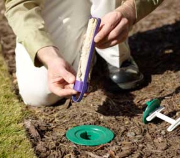 Termite bond and re-treatment example